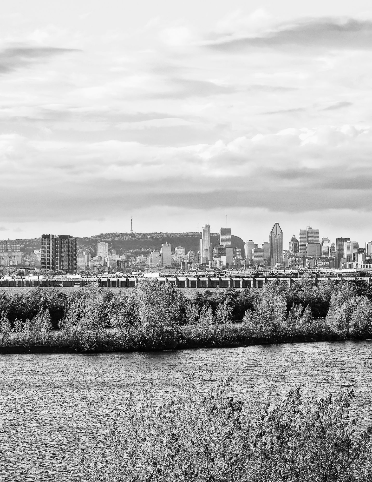 Vacation Season in Montreal: How the Right Commercial Agent Keeps Your